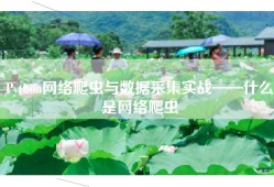 Python网络爬虫与数据采集实战——什么是网络爬虫