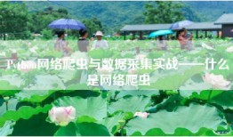 Python网络爬虫与数据采集实战——什么是网络爬虫
