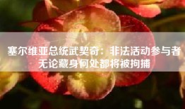 塞尔维亚总统武契奇：非法活动参与者无论藏身何处都将被拘捕