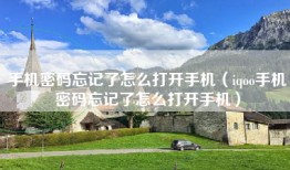 手机密码忘记了怎么打开手机（iqoo手机密码忘记了怎么打开手机）