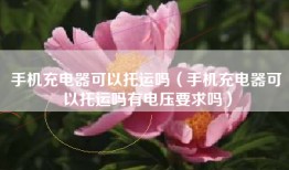 手机充电器可以托运吗（手机充电器可以托运吗有电压要求吗）