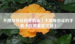 不用身份证的手机卡（不用身份证的手机卡在哪里能买到）