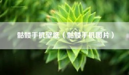 骷髅手机壁纸（骷髅手机图片）