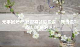 元宇宙元年 高管弃谷歌投身“新传说” 风口还是泡沫？
