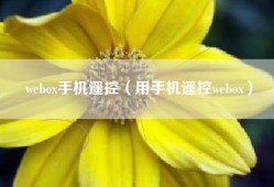 webox手机遥控（用手机遥控webox）
