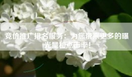 竞价推广排名服务：为您带来更多的曝光量和点击率！