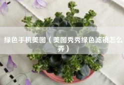 绿色手机美图（美图秀秀绿色滤镜怎么弄）