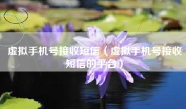 虚拟手机号接收短信（虚拟手机号接收短信的平台）
