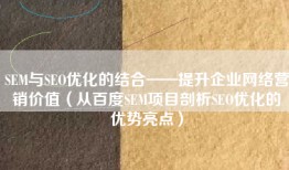 SEM与SEO优化的结合——提升企业网络营销价值（从百度SEM项目剖析SEO优化的优势亮点）