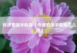 快速看图手机版（快速看图手机版怎么用）