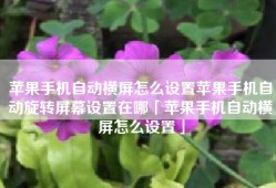 苹果手机自动横屏怎么设置苹果手机自动旋转屏幕设置在哪「苹果手机自动横屏怎么设置」