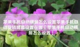 苹果手机自动横屏怎么设置苹果手机自动旋转屏幕设置在哪「苹果手机自动横屏怎么设置」