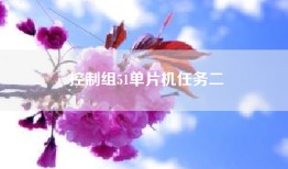 控制组51单片机任务二