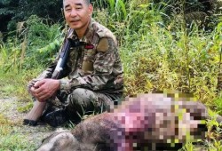 野猪致害26省 多地招募“野猪猎人”，不能用枪下毒使弓箭