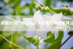 数据结构与算法08：二分查找和哈希算法