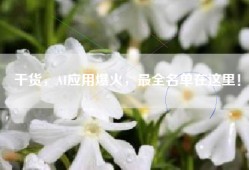 干货，AI应用爆火，最全名单在这里！