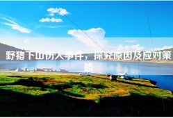 野猪下山伤人事件，探究原因及应对策略