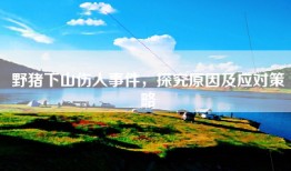 野猪下山伤人事件，探究原因及应对策略