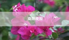 南阳晚报