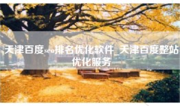 天津百度seo排名优化软件_天津百度整站优化服务