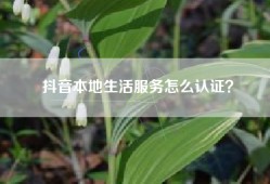 抖音本地生活服务怎么认证？