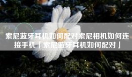 索尼蓝牙耳机如何配对索尼相机如何连接手机「索尼蓝牙耳机如何配对」