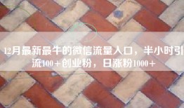 12月最新最牛的微信流量入口，半小时引流100+创业粉，日涨粉1000+