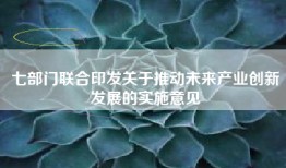 七部门联合印发关于推动未来产业创新发展的实施意见