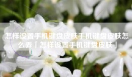 怎样设置手机键盘皮肤手机键盘皮肤怎么弄「怎样设置手机键盘皮肤」