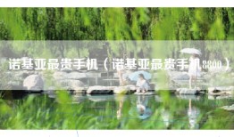 诺基亚最贵手机（诺基亚最贵手机8800）