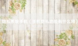 隐私系统手机（手机隐私功能有什么用）