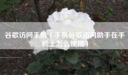 谷歌访问手机（手机谷歌访问助手在手机上怎么使用）