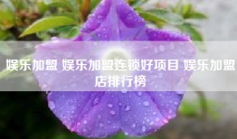 娱乐加盟 娱乐加盟连锁好项目 娱乐加盟店排行榜