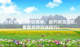 小红书引流策略揭秘，避开限流雷区，掌握高效引流技巧！