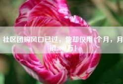 社区团购风口已过，他却仅用4个月，月销2000万！