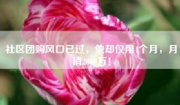 社区团购风口已过，他却仅用4个月，月销2000万！