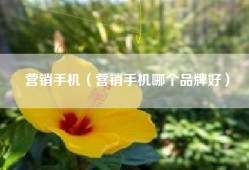 营销手机（营销手机哪个品牌好）