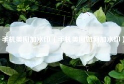 手机美图加水印（手机美图如何加水印）