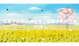 苹果手机怎么测信号（苹果手机测信号代码）