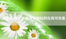 益阳SEO推广：提升你网站的在线可见度