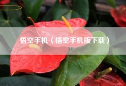 悟空手机（悟空手机版下载）