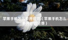 苹果手机怎么多开微信（苹果手机怎么多开微信免费）