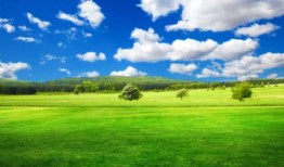 猫眼智能锁维修地址电话《今日汇总》 年产量破千万！新能源汽车跑出“中国速度”