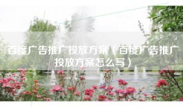 百度广告推广投放方案（百度广告推广投放方案怎么写）