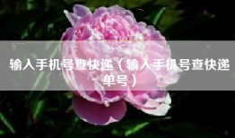输入手机号查快递（输入手机号查快递单号）