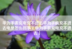 华为手表充电充不进去华为手机充不进去电是怎么回事「华为手表充电充不进去」
