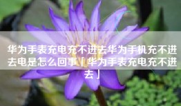 华为手表充电充不进去华为手机充不进去电是怎么回事「华为手表充电充不进去」