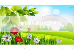 期货乌龙指什么意思