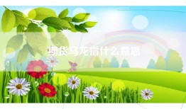期货乌龙指什么意思