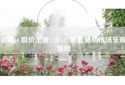 谷歌-C股价上涨1.38%：财报驱动市场乐观情绪